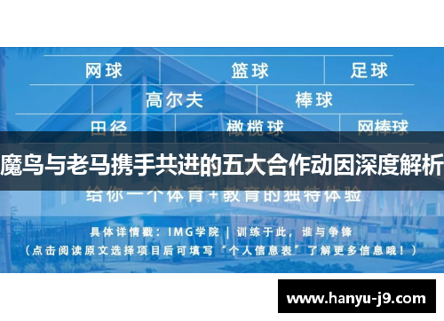 魔鸟与老马携手共进的五大合作动因深度解析