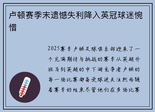 卢顿赛季末遗憾失利降入英冠球迷惋惜